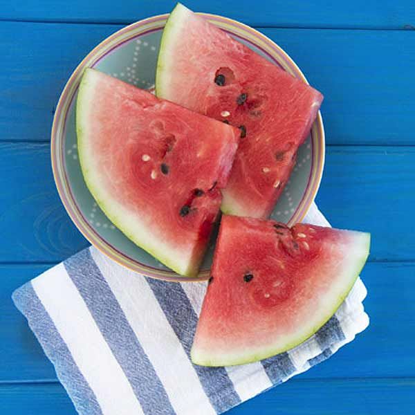 alimento operacionbikini8