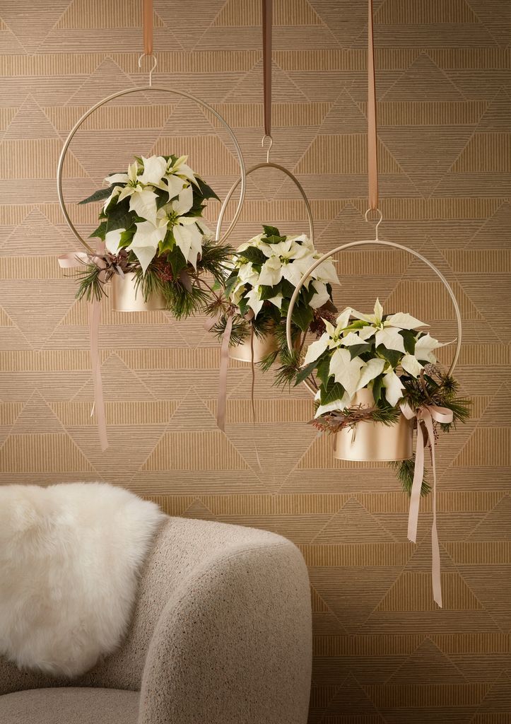 Adorno de Navidad con poinsettias.