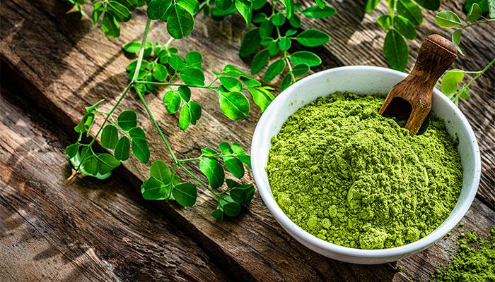 moringa1