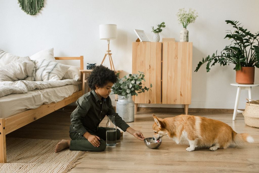 Perro comiendo junto a su compañero humano