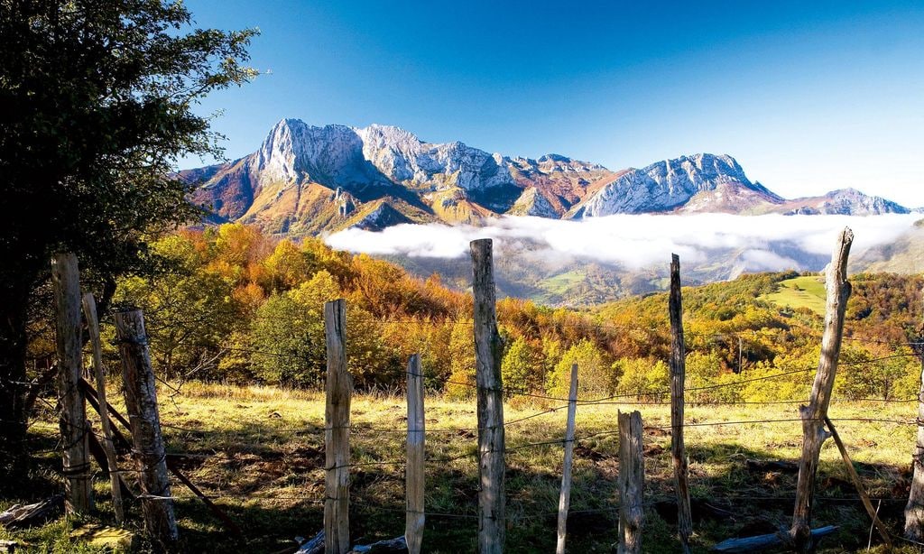 El parque natural de Ponga