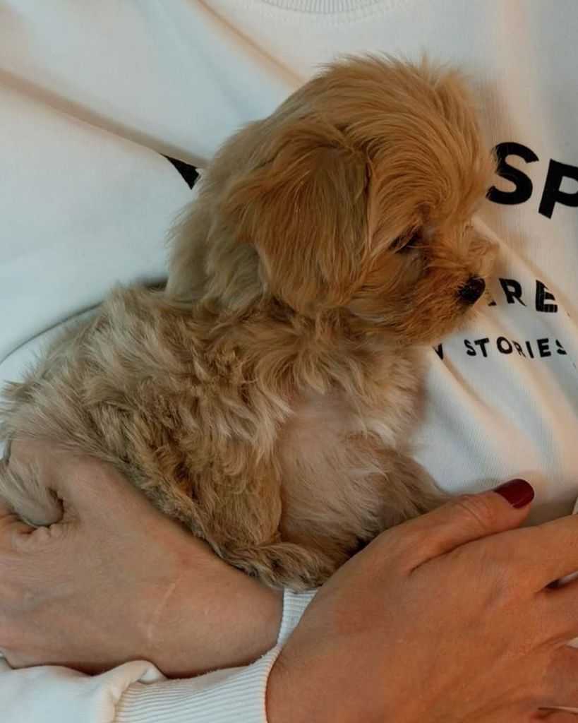 Nala fue la última en llegar al hogar de Tamara e Íñigo