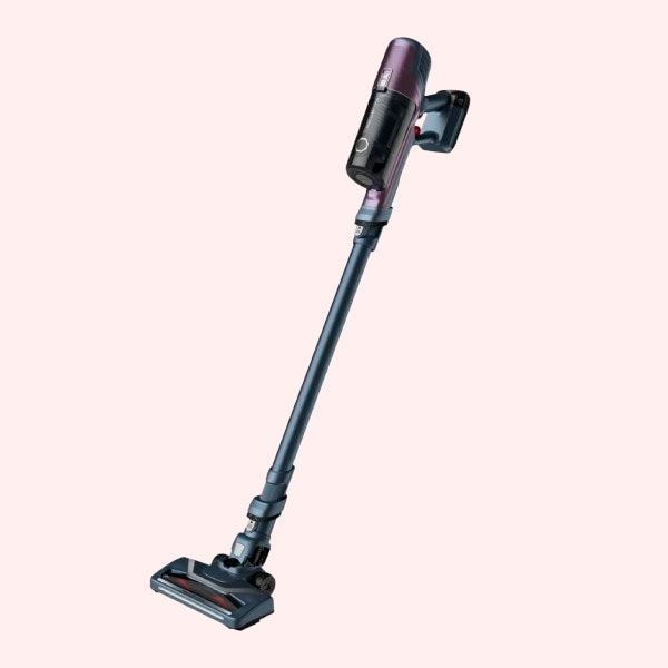 Rowenta XPert 6.60 