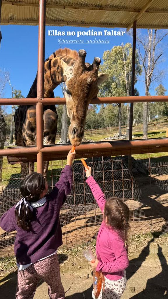 Brenda Janeiro y su amiga dando de comer a las jirafas