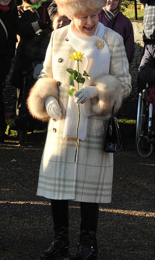 reina isabel