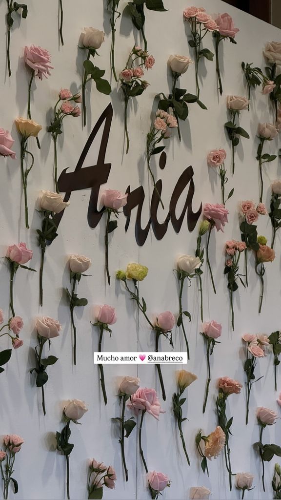Ana Brenda Contreras celebra el baby shower de su hija, Aria 