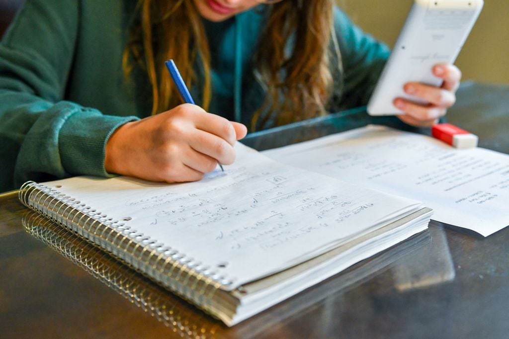 Adolescente haciendo los deberes