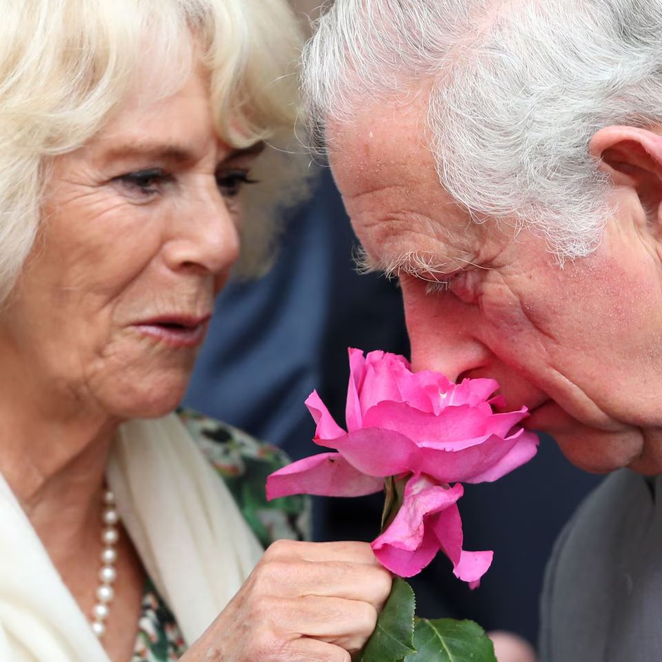 La Reina cediéndole una flor al Rey