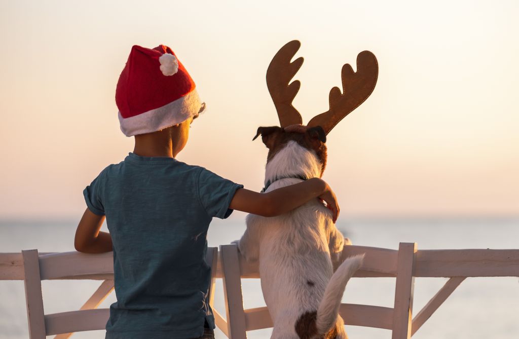 Niño con su perro disfrazado de Navidad