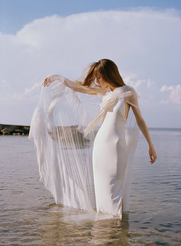 savannah_2a