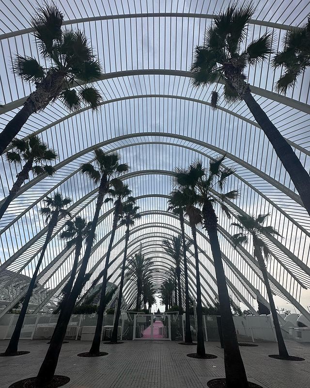 Onur Seyit Yarat ('Hermanos') de vacaciones en Valencia