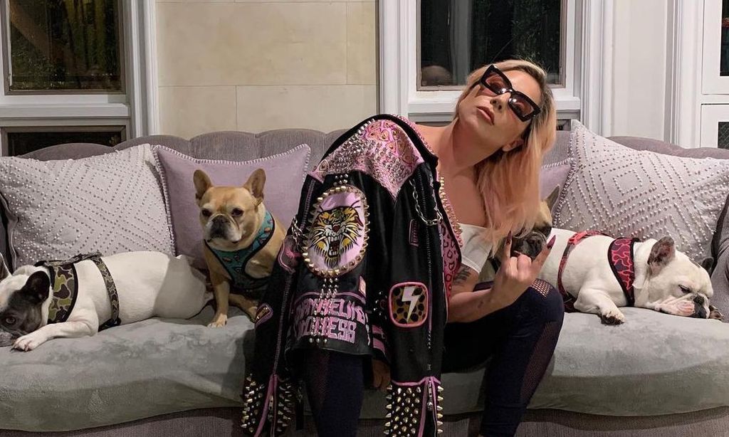 Lady Gaga y sus perros