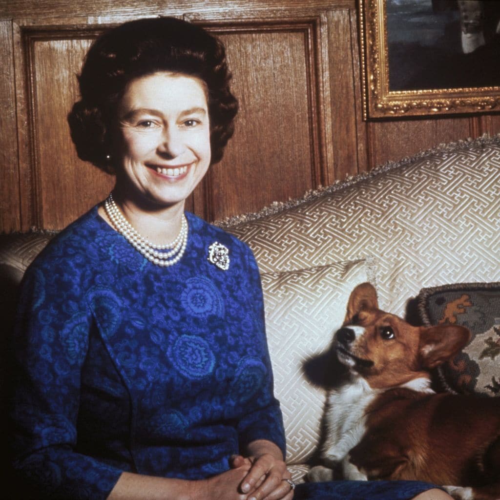 Queen Elizabeth Corgis