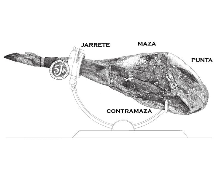 Partes del jamón