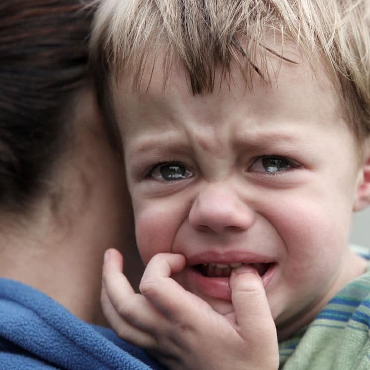 Niño llora