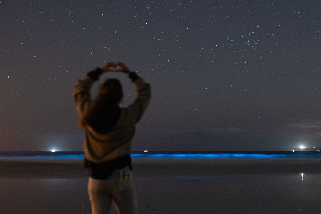 'Ardora' es una palabra que hace referencia a un fenómeno nocturno fosforescente que se produce en el mar cuando los bancos de sardinas agitan las aguas y reflejan la luz de manera casi mágica
