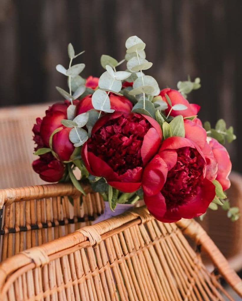 Ramos de novia de peonías rojas