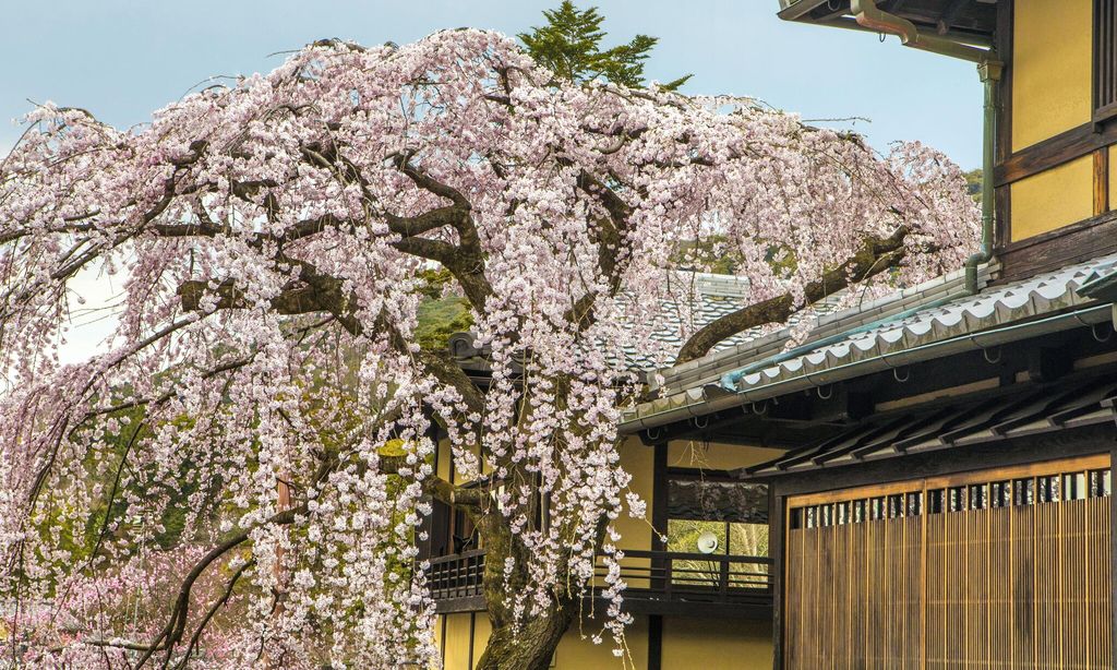 kyoto