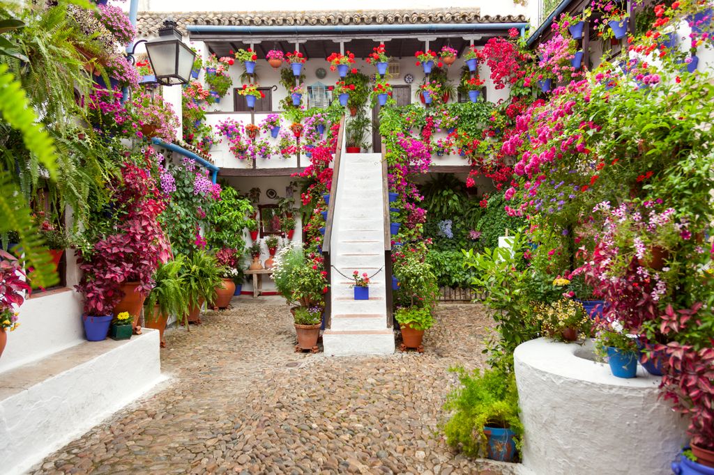 Patio cordobés decorado con flores