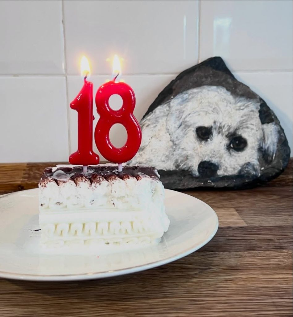 Fallecía horas antes de cumplir 18 años