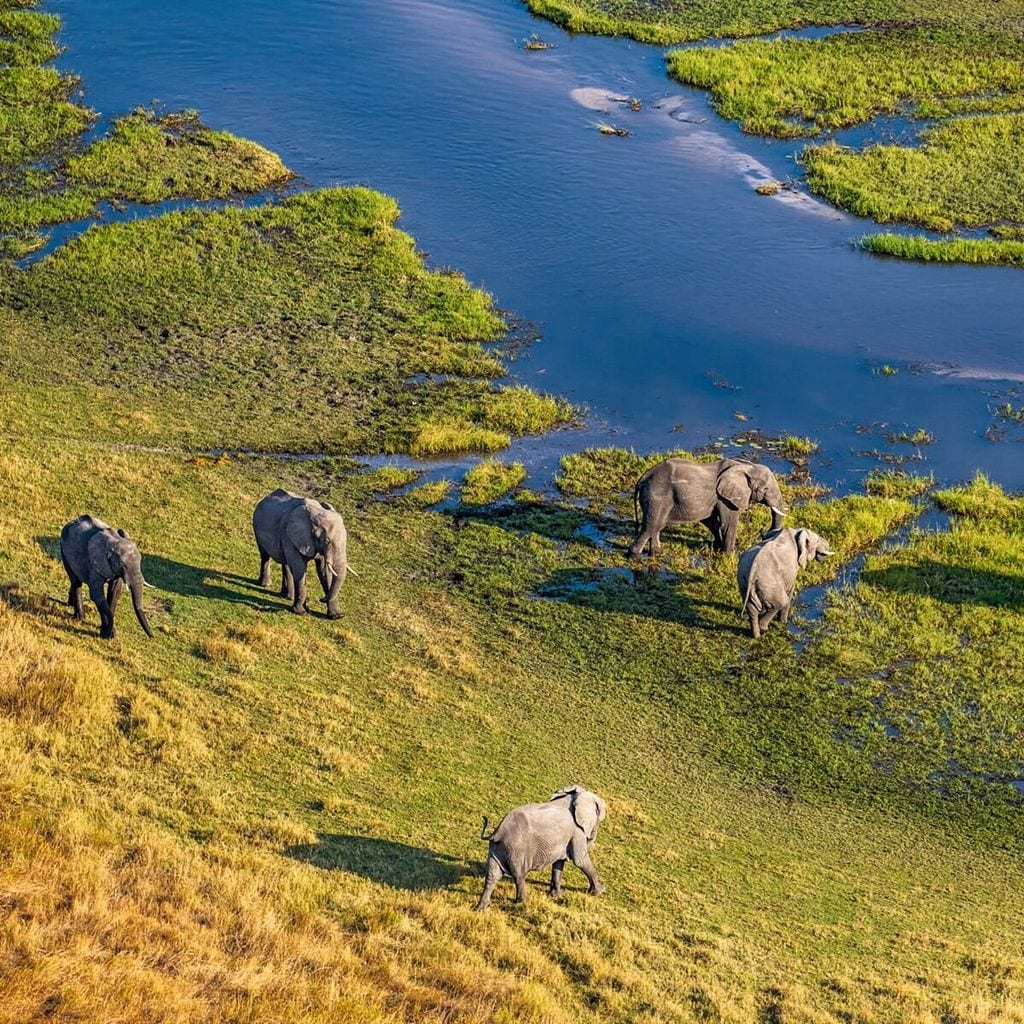 Botswana ¡HOLA! Viajes