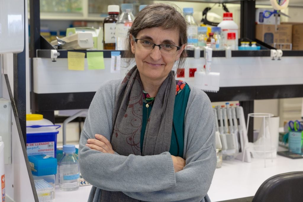 Dra. Puri Fortes, directora del Programa de Biología y Terapia de ARN del Cima Universidad de Navarra
