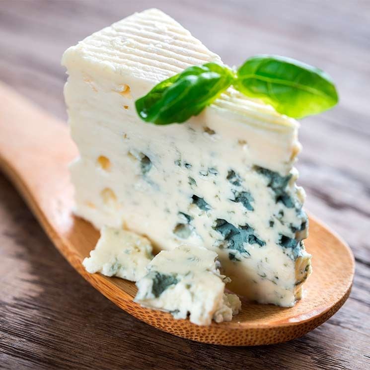 gorgonzola adobe int