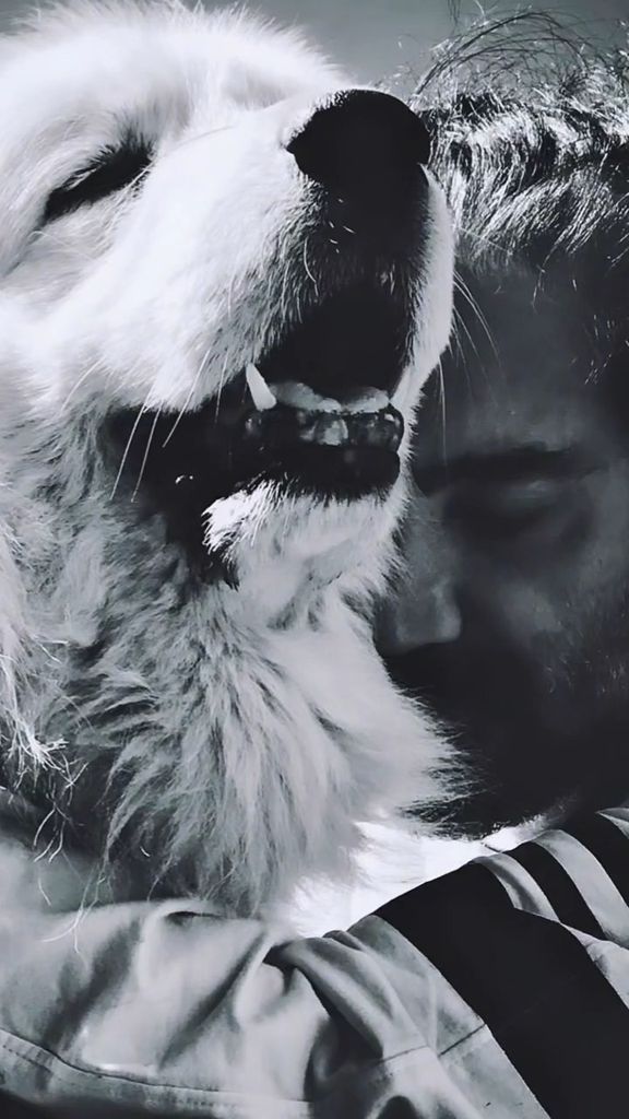 Alejandro Fernández, de luto por su perrito Kush