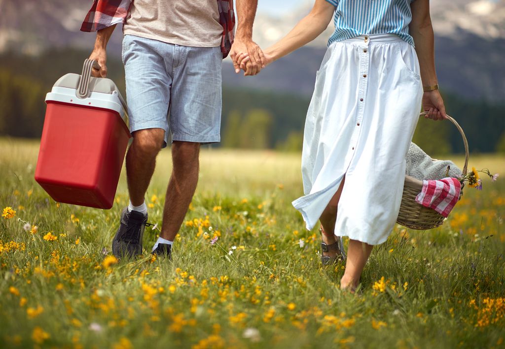 Pareja, de pícnic