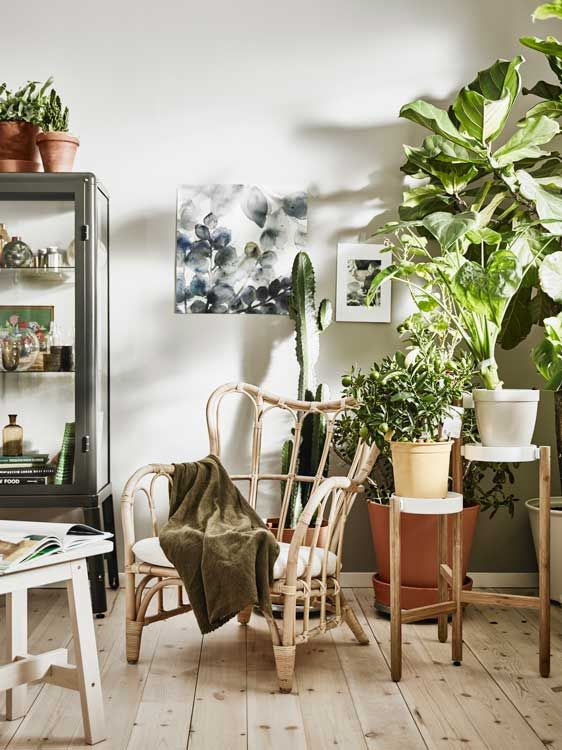 ikigai-decoracion-10z