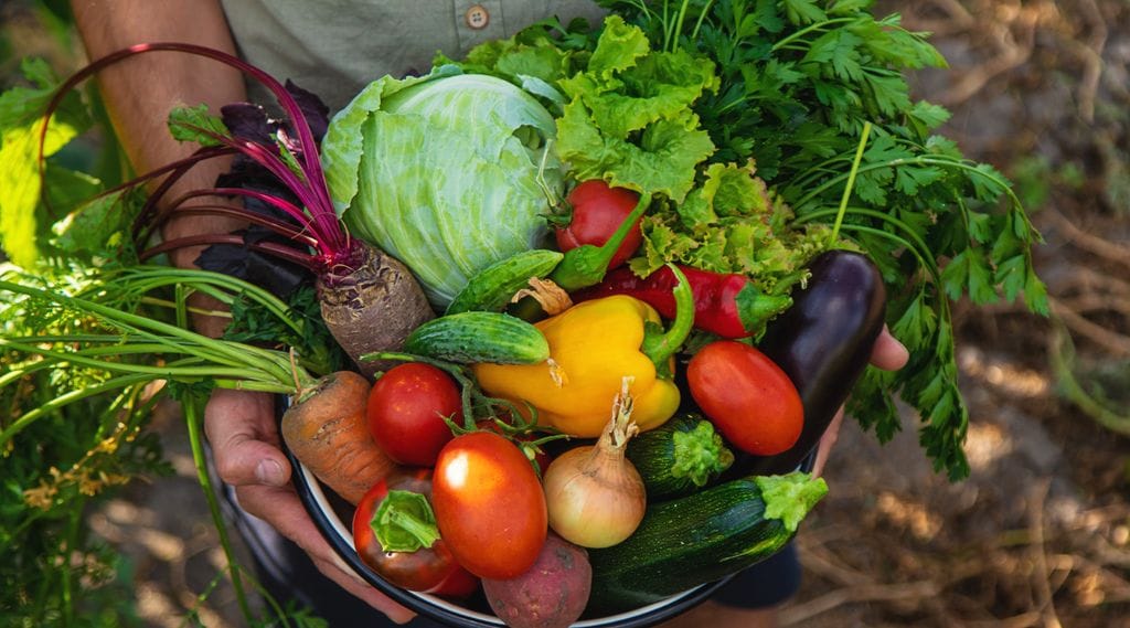 En septiembre están en su mejor momento vegetales como la lechuga, el repollo, los puerros o las zanahorias, entre otros.
