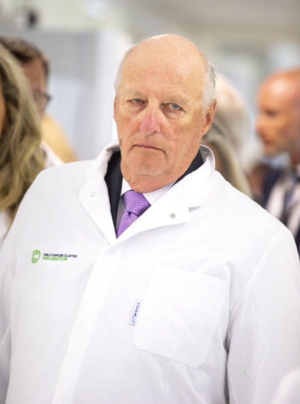 harald-gtres