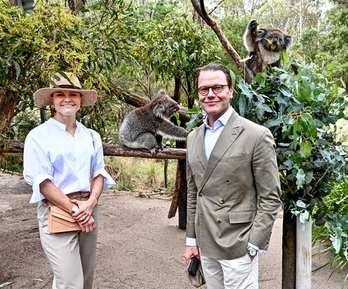 Victoria y Daniel de Suecia con los koalas