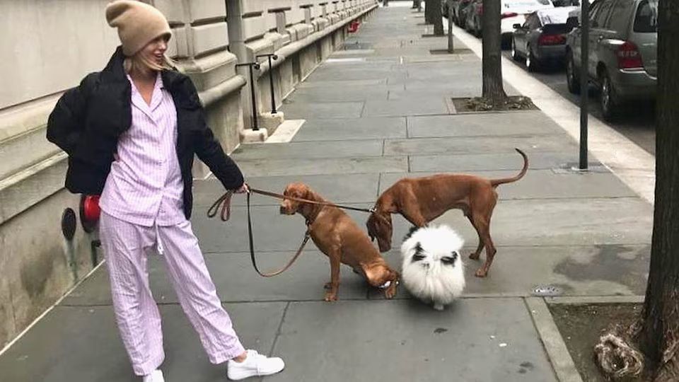 Olympia de Grecia paseando a los perros en Nueva York