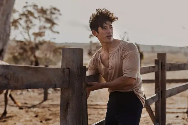 En la novela, Harry es un terrateniente australiano blanco, en la serie es de origen chino