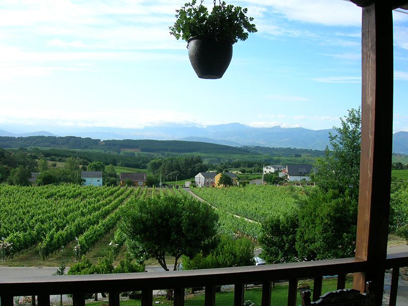 vinos4