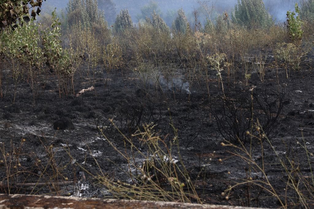 Incendio en Tres Cantos