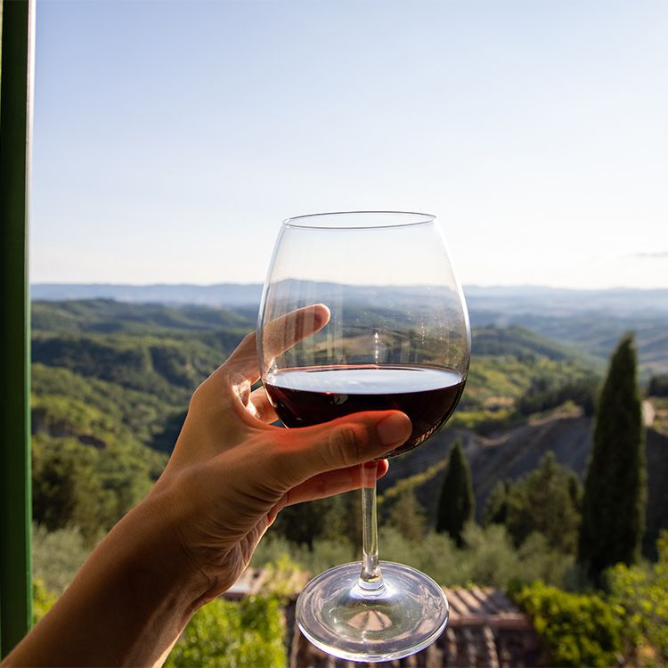 Mano con copa de vino tinto con paisaje de fondo