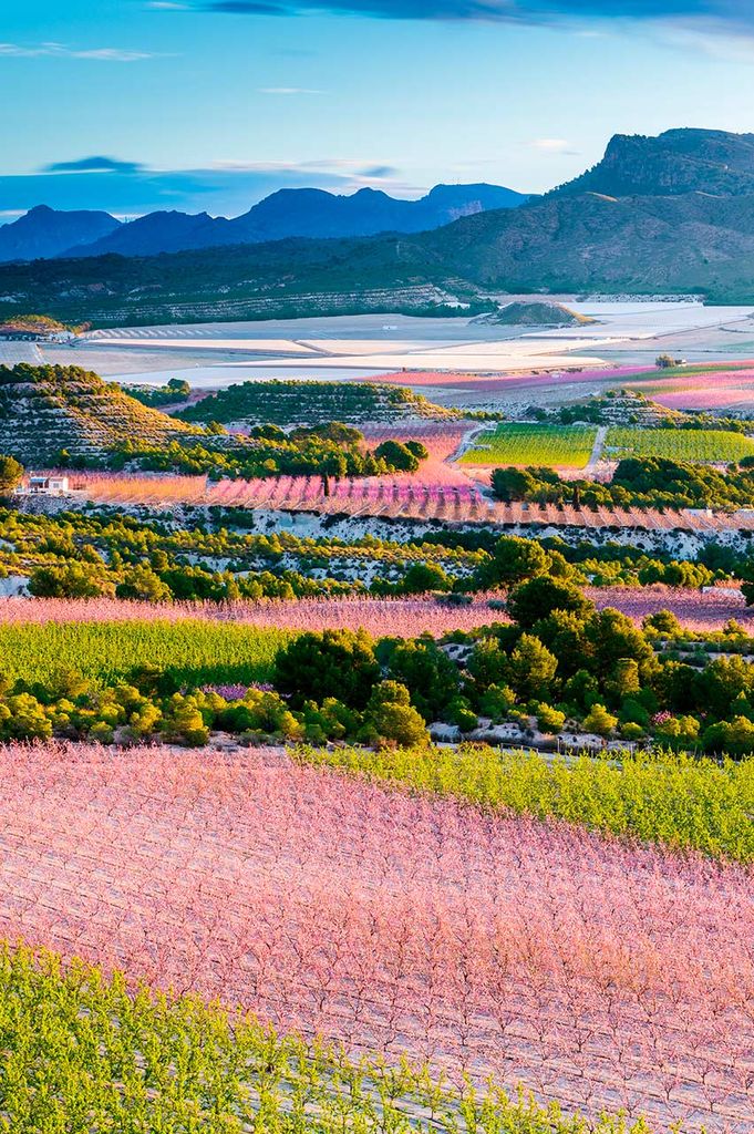 Cieza, Murcia