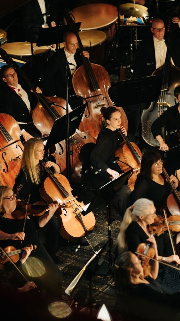 La orquesta que tocó para Carlos Gustavo y Silvia de Suecia
