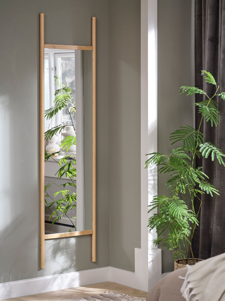 Espejo de bambú que refleja una planta sana y esbelta: un helecho