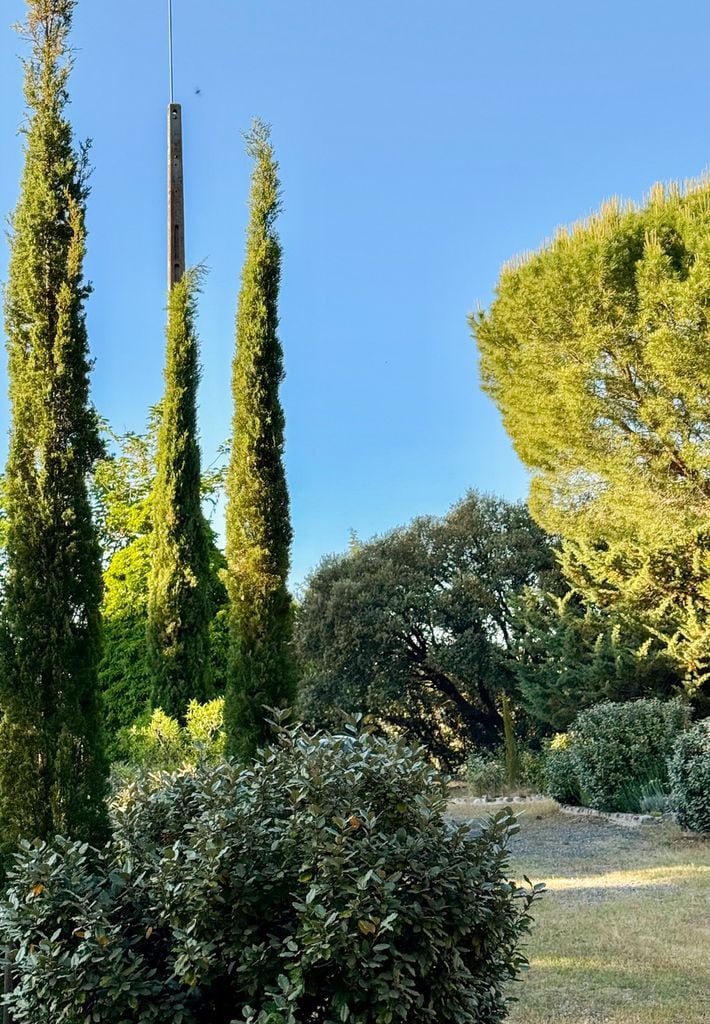 Jardín que demuestra que no necesariamente necesita contar con flores para ser fragante