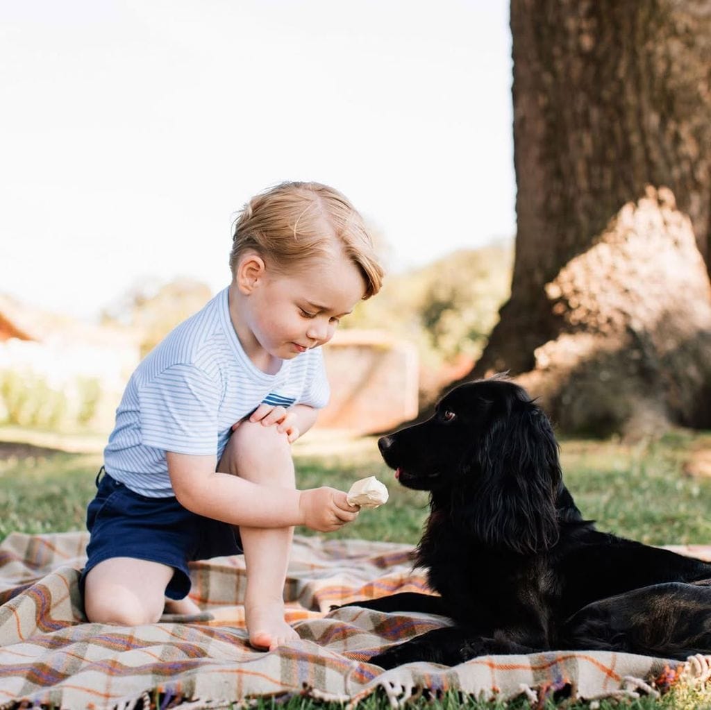 En la imagen, el príncipe George con Lupo.