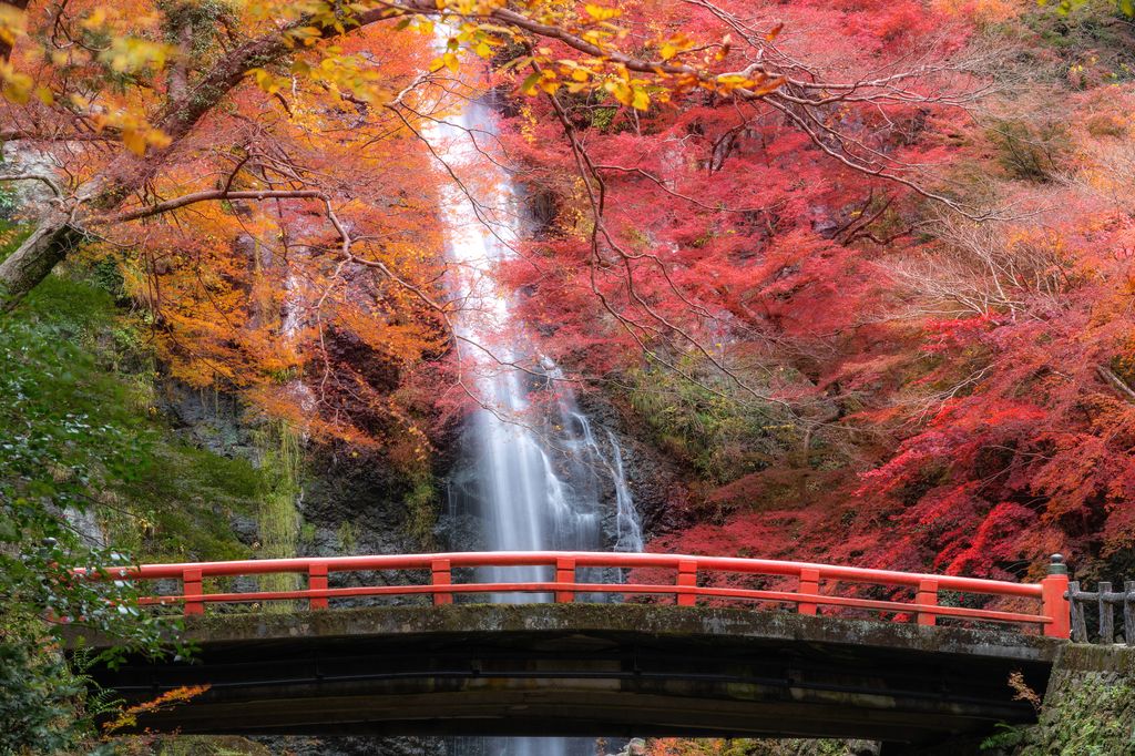 Paisaje de Japón 