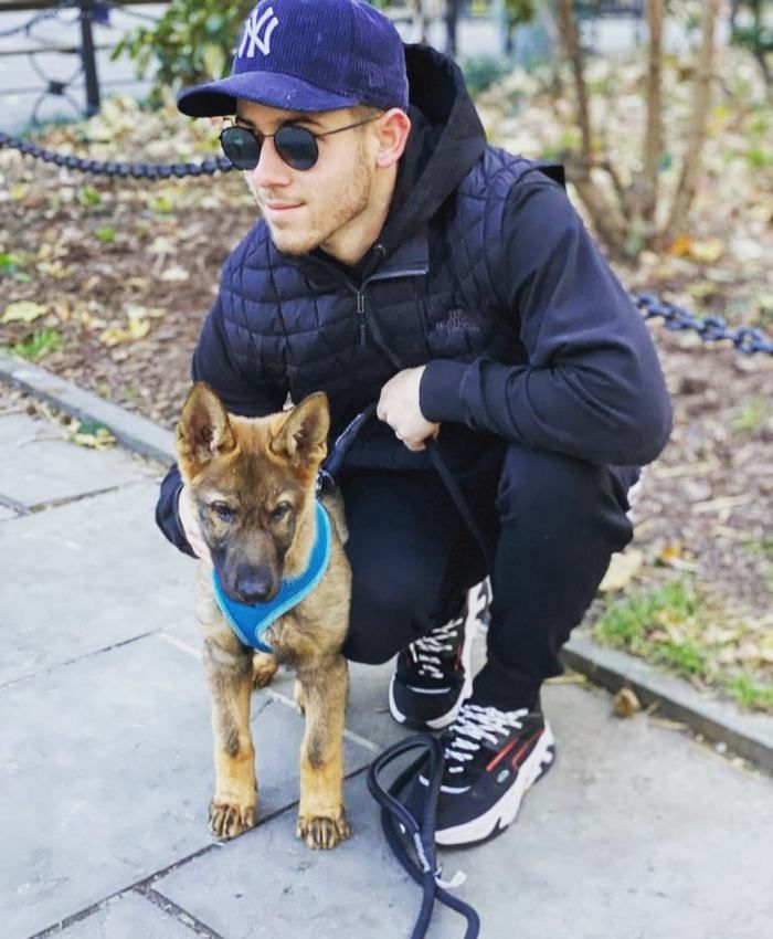 Nick Jonas