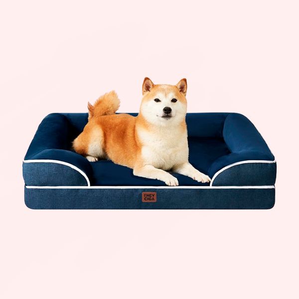 La cama perfecta para que tu perro duerma como un rey