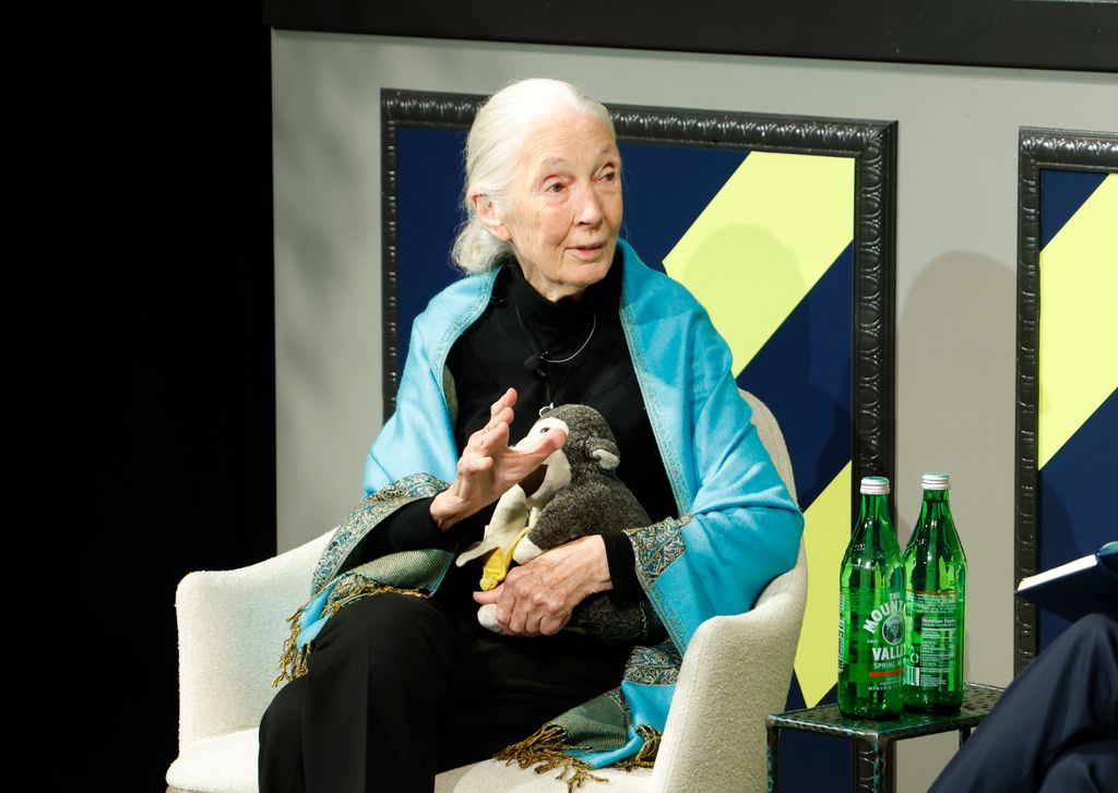 Media Image