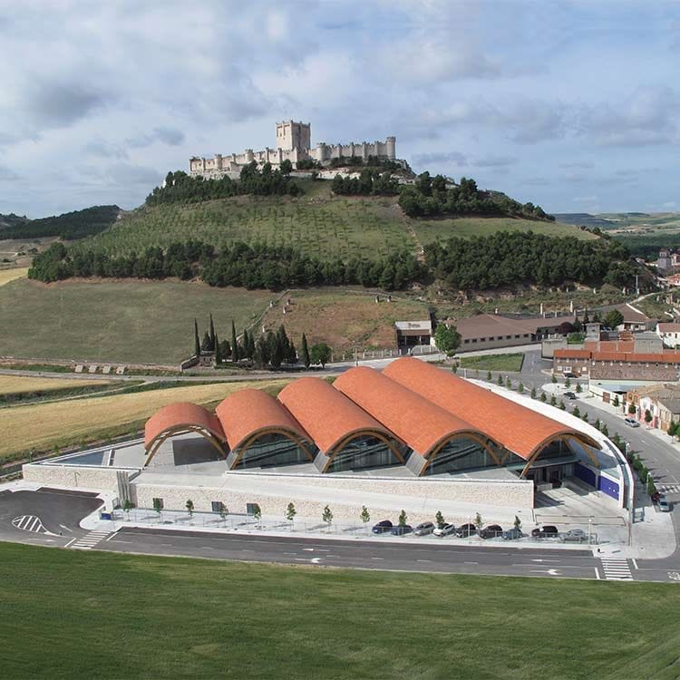 bodegas-protos