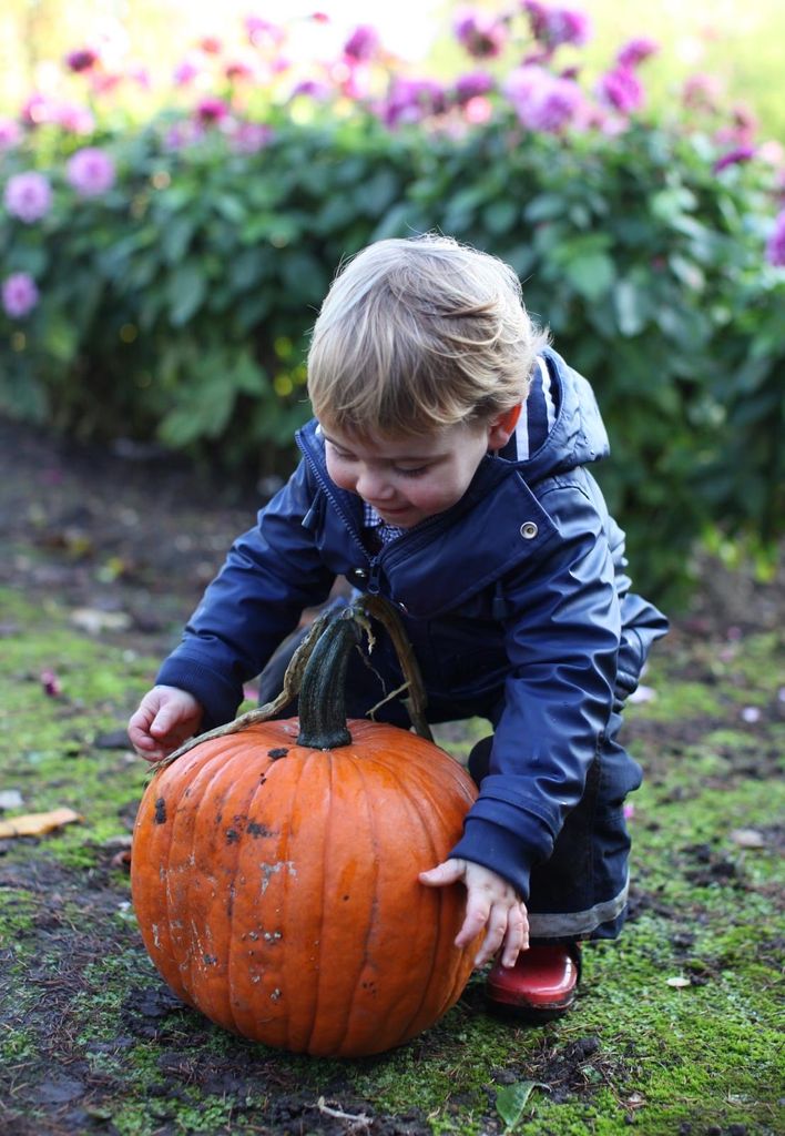 El príncipe Louis celebra Halloween