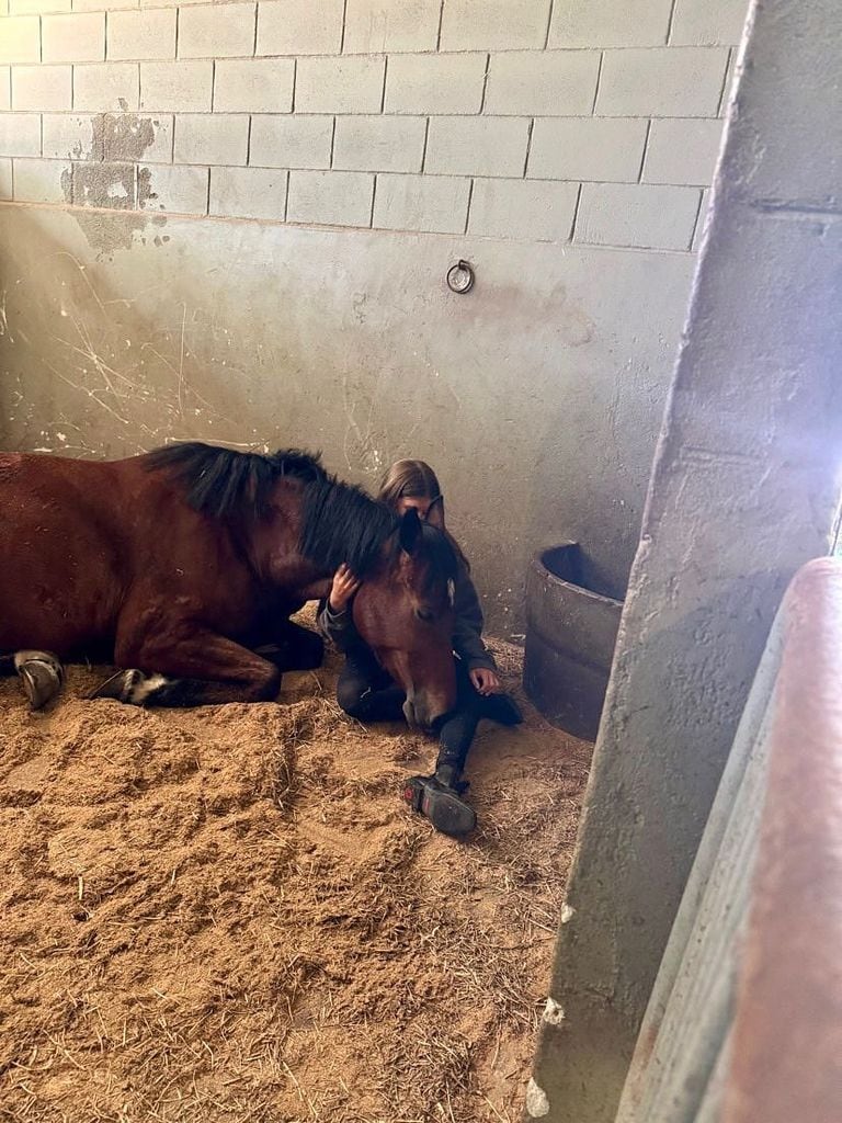 Gisele Bündchen captó a su hija Vivian Lake con su caballo.